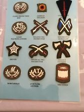 ARMY TRADE/SKILLS AND QUALIFICATION BADGES