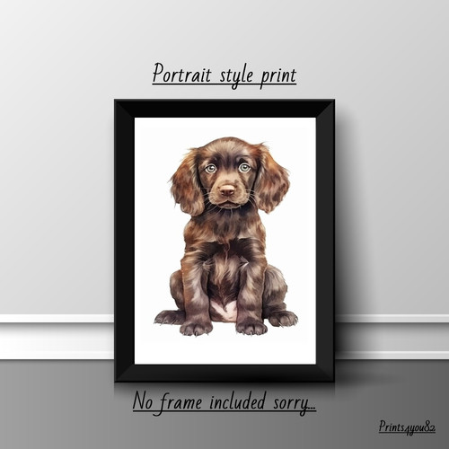 Field spaniel dog pet a4 - pet,