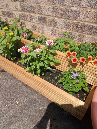 4ft tier high - tier,