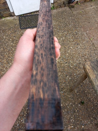 Birdseye burmese blackwood - birdseye,