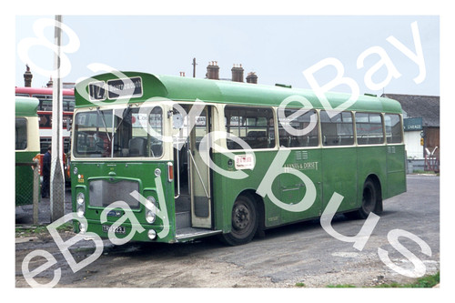 Bus photograph hants dorset - photograph, &