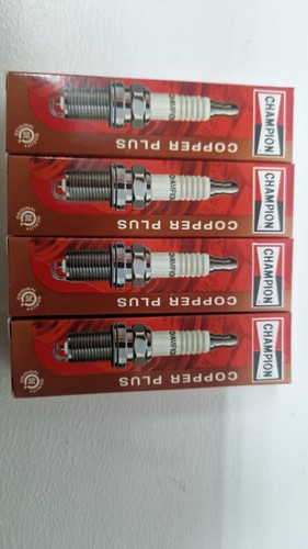 Champion standard spark - standard,