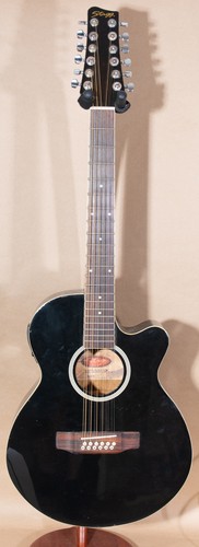 Stagg sw206ce 12 string - sw206ce,
