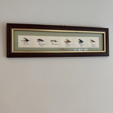 Framed collection trout - framed,
