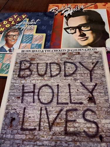 Buddy holly medley 3 vinyl - buddy,