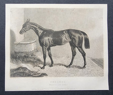 Antique 1841 Print - Horse