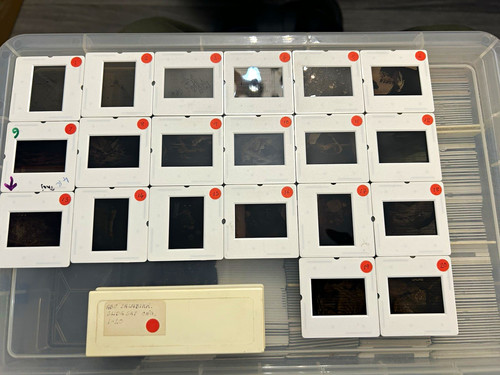 Abu salabikh lot 20 slides - abu,
