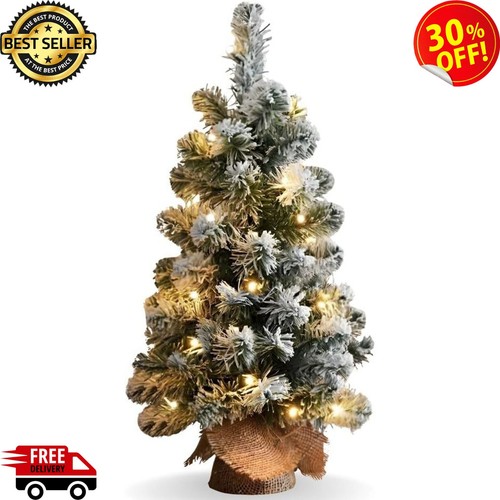 2ft pre lit tabletop - pre-lit, christmas