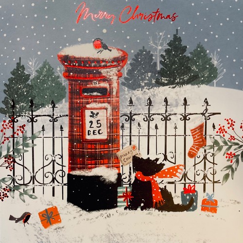 Pack charity christmas - 5,