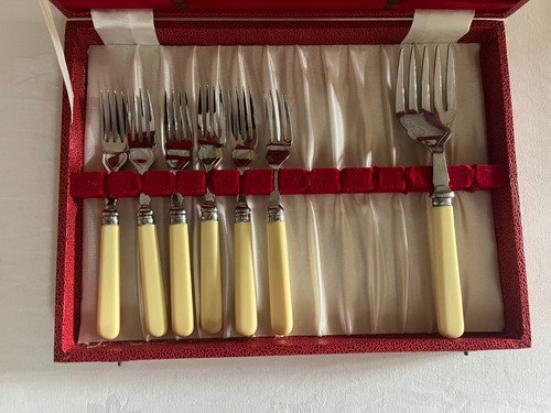 Vintage cased fish - vintage,