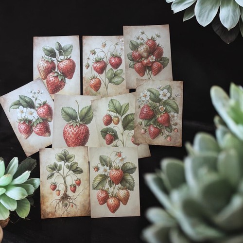 Vintage strawberry card - 9,