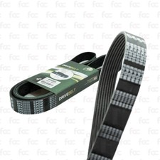 Alternator Drive Belt / Fan