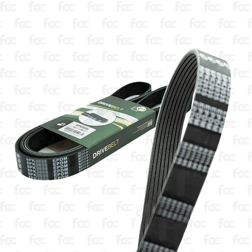 Alternator drive belt fan - drive,
