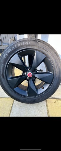 Genuine jaguar pace - jaguar, 18"