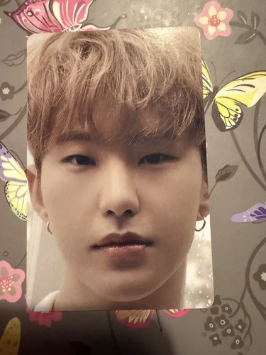 Seventeen hoshi dicon official - seventeen,