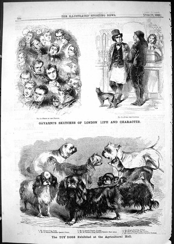 Old 1865 toy dogs agricultural - 1865,