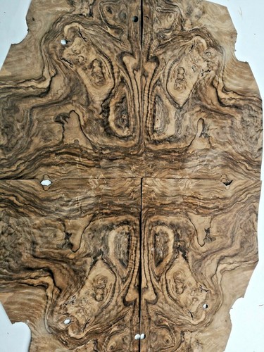 Burr burl walnut veneer - walnut,