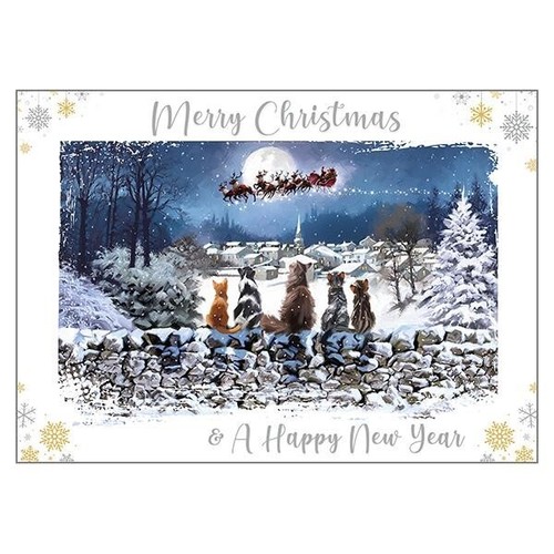 Cat themed christmas - themed,