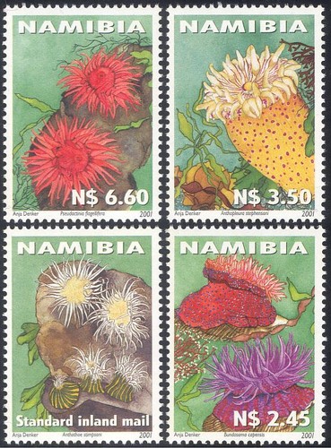 Namibia 2001 sea - namibia,