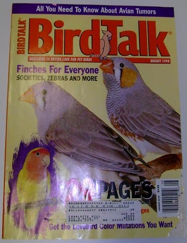 Bird talk magazine aug 98 - **bird,
