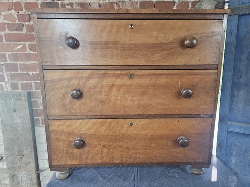 Victorian mahogany split chest - mahogany,