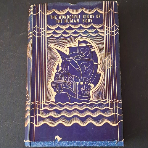 The wonderful story - the,
