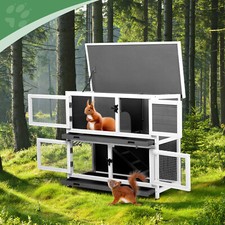 Story solid wood - 2, rabbit