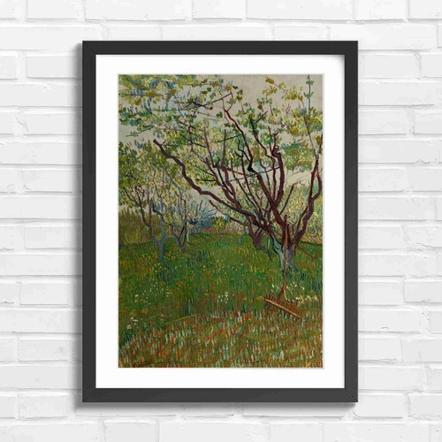Blooming orchard trees - orchard, spring