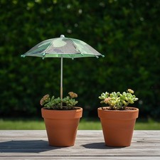 Plant umbrella sturdy garden - plant,