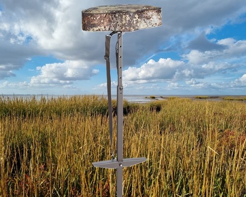 Cabelas northern flight - cabelas, marsh