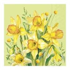 Narcissus Bouquet Green IHR