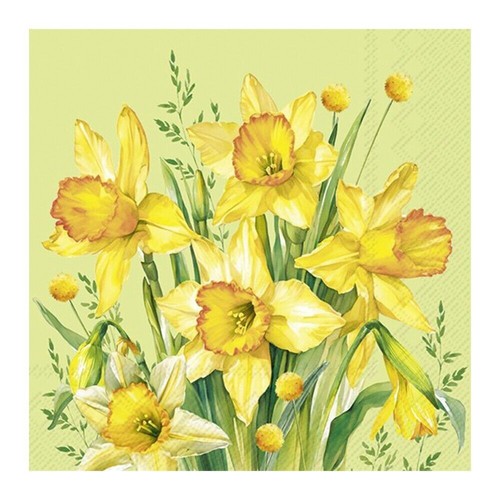 Narcissus bouquet green ihr - narcissus,