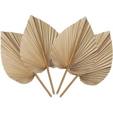 4Pcs Natural Dried Palm Leaves