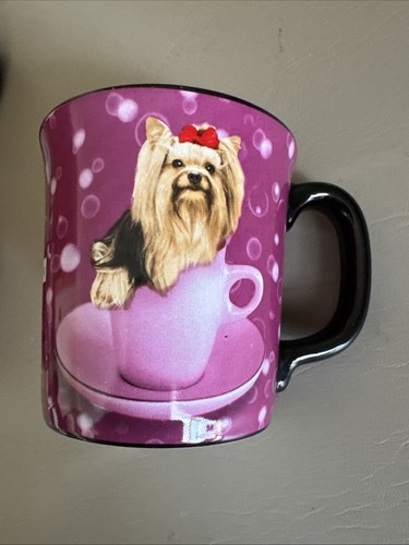 Yorkie yorkshire terrier dog - yorkshire,