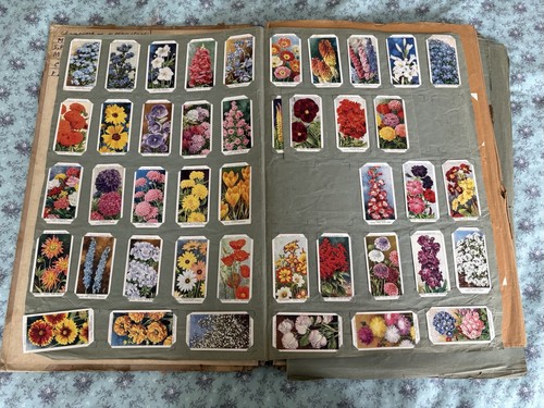 Wills cigarette cards garden - cigarette,
