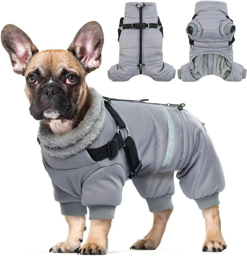 Small dog puppy legs - small,