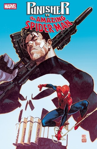 Punisher spider man - punisher, vs.