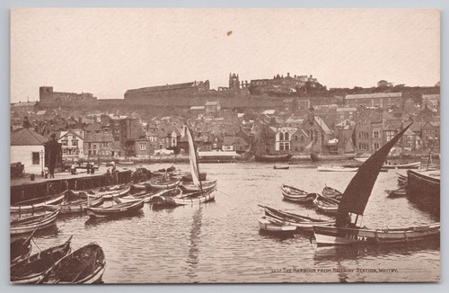 Whitby harbour from railway - whitby,