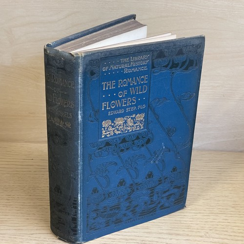 Edward step the romance - romance, of