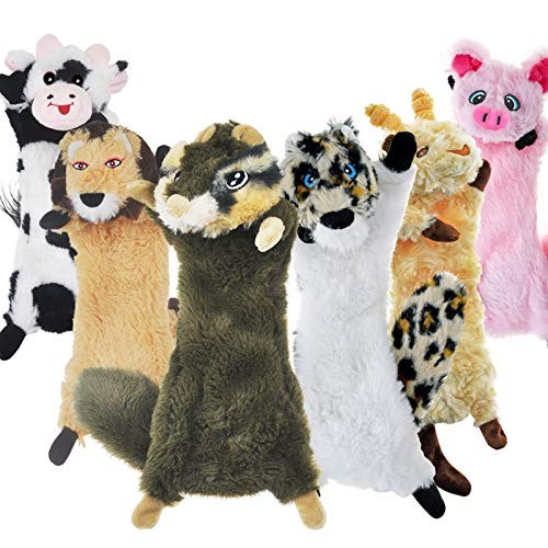 Sharlovy dog squeaky - sharlovy,