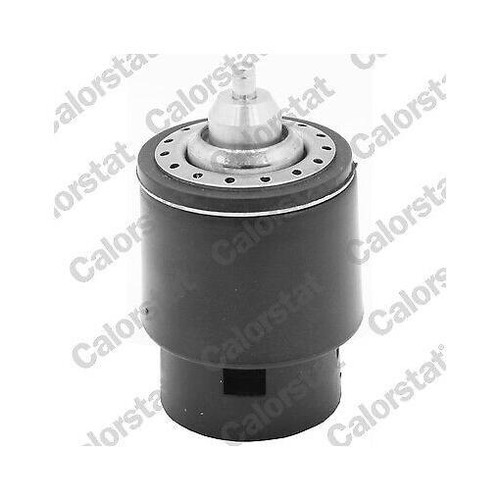 Thermostat coolant calorstat - thermostat,,