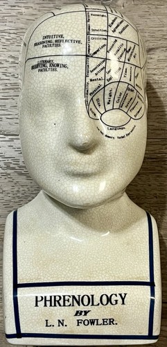 Fowler phrenology head bust - fowler,