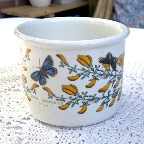 Vintage portmeirion botanic - vintage,
