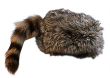 Used Davy Crockett Children's