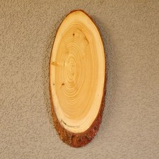 Larch Red Deer Stag Shield