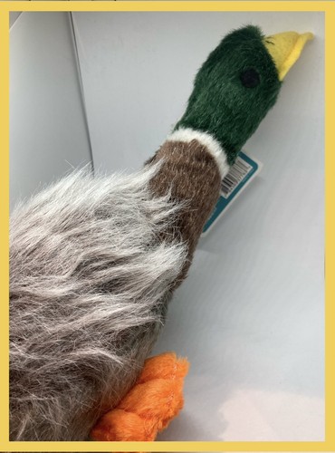 Mallard duck dog - dog, that