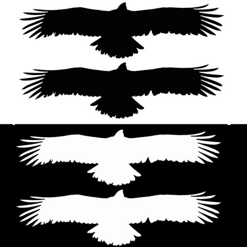 Bird silhouette window decals - silhouette,