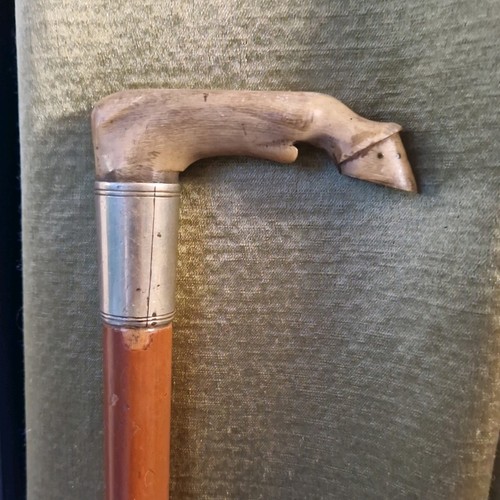 Antique walking stick - walking,