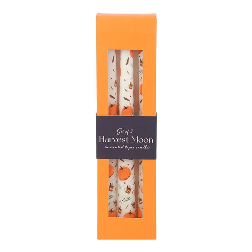 Halloween pumpkin taper - halloween,