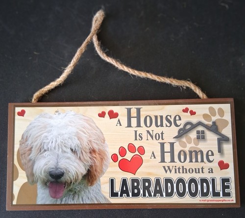 House not home - house, is